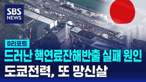 도쿄전력
