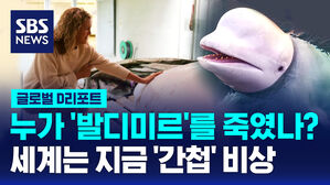 [글로벌D리포트] 누가 '발디미르'를 죽였나?&hellip;세계는 지금 '간첩' 비상