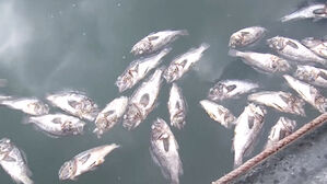 우리나라 해역 수온상승, 지구보다 2배 빨라&hellip;"수산업 영향 뚜렷"