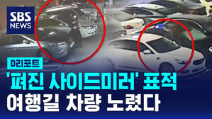 [D리포트] '펴진 사이드미러' 표적&hellip;설레는 여행길 차 문단속 잘해야