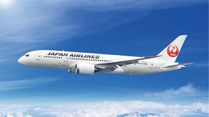 JAL "사이버 공격으로 시스템 장애"&hellip;국내선 일부 출발 지연