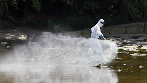 폭염에 줄었던 모기, 가을 들어 다시 앵&sim;앵&sim; '모기주의보'