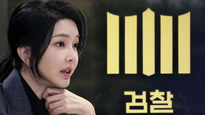 수사심의위 일부 위원 "수사 계속해야"