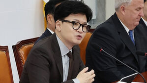 한동훈, 곽노현 고소에 "민주당 진성준은?"