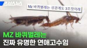 스브스뉴스 바퀴벌레는 성관계도 3초컷이래 바퀴벌레는 진짜 유명한 연애고수임