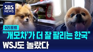 개모차