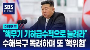 핵무기