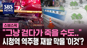 [스브스픽] '시청역 역주행' 재발 막을까? '튼튼 가로수' 2천 주 심는다