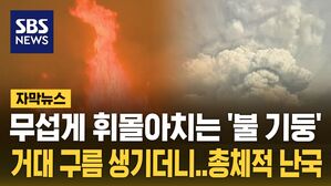 [자막뉴스] 무섭게 번지더니 여의도 15배 '활활'&hellip;미국 일대 '비상사태'
