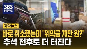 [자막뉴스] 추석 전후로 더 터진다&hellip;항공권 &middot; 택배 피해 급증