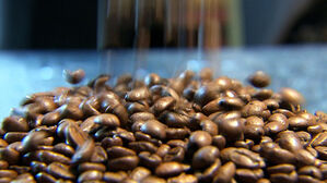 "아메리카노 못 부르겠다"&hellip;뿔난 캐나다, 메뉴판서 지웠다