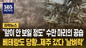 [자막뉴스] "이런 공습 처음" 베테랑도 놀랐다&hellip;제주 상황 '심각'