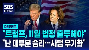 트럼프해리스