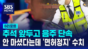 [D리포트] 추석 앞두고 음주 단속&hellip;안 마셨다는데 '면허정지' 수치