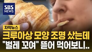 [자막뉴스] 크루아상 모양 조명 샀는데 "벌레 꼬여" 뜯어 먹어보니..