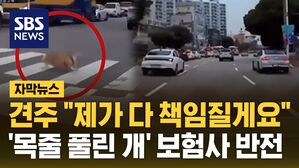 [자막뉴스] 견주 "제가 다 책임질게요"&hellip;'묵줄 풀린 개' 보험사 반전