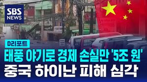하이난