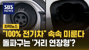 3자막뉴스_소환욱_전기차 미룬다