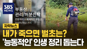 sbsnews 자막뉴스 내가 죽으면 벌초는? 능종적인 인생 정리 돕는다