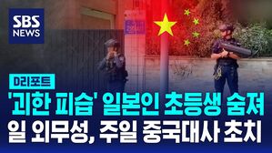 초등생