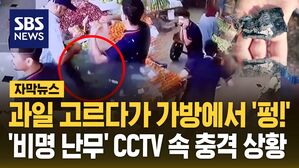 [자막뉴스] 호출기 동시 폭발