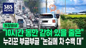 [영상] 내비게이션의 배신? "10시간 동안 3km 이동" 추석 연휴에 우회도로 갔다가 벌어진 일