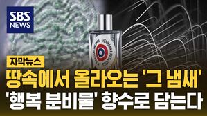 [자막뉴스] 땅속에서 올라오는 '그 냄새'&hellip;'행복 분비물' 향수로 담는다