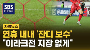 [자막뉴스] '논두렁' 오명 벗으려 안간힘&hellip;'전석 매진' 아이유도 나섰다