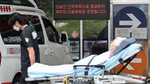 "국내 활동 외국인 의사 매년 늘어&hellip;최근 5년간 20%↑"