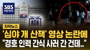 [자막뉴스] 김 여사 '심야 개 산책' 영상 논란에 "경호 인력 간식 사러&hellip;사실상 스토킹"
