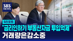 [D리포트] "금리 인하기 부동산 자금 투입 억제"&hellip;거래량은 감소 중