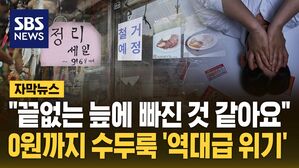 [자막뉴스] 한계 몰린 자영업자들