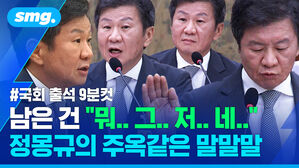 국회출석 9분컷 남은 건 "뭐 그 저 네" 정몽규의 주옥같은 말말말