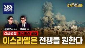 [라이브] "이스라엘 공습으로 헤즈볼라는 전투 불능 상태"?&hellip;전면전 가능성과 이스라엘의 전쟁 전략은? (ft. 성일광 교수)