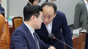 거부권 제한법 &middot; 탄핵 시 사퇴금지법, 야당 단독 소위 회부