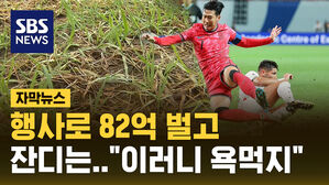 [자막뉴스] 콘서트로 82억 벌고 잔디 관리에는 고작? "이러니 엉망"