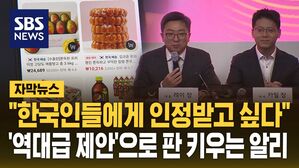 [자막뉴스] 알리 제안