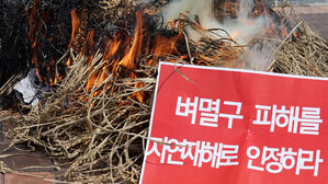 광주&middot;전남 농민들 "벼멸구 피해 자연재해로 인정하라"