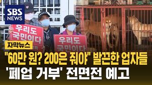 [자막뉴스] 1천억 세금 투입하는데&hellip;개 식용 업계는 '전면전 예고'