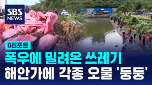 [D리포트] 폭우에 밀려온 쓰레기&hellip;해안가에 각종 오물 '둥둥'