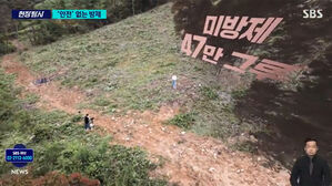 "사람 깔리고 땅이 꺼진다"&hellip;목숨까지 위협하는 '이 나무' [스프]