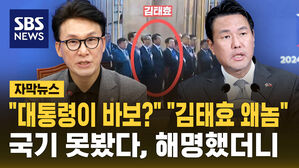 [자막뉴스] "대통령이 바보?" "김태효 왜놈"&hellip;국기 못봤다, 해명했더니