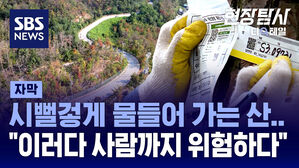 현장탐사 디테일 재선충병