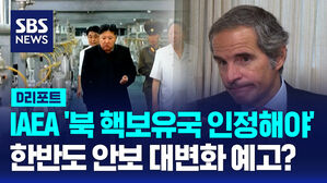 [AI D리포트] IAEA수장 '북한 핵보유국 인정'&hellip;제재 무력화, 한반도 안보 대변화 예고?