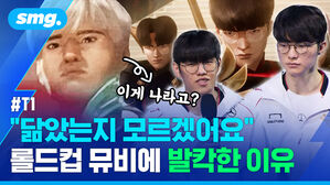 닮았는지 모르겠어요 롤드컵 뮤비에 발칵한 이유