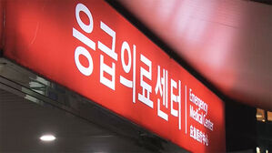설 당일 2천619곳 병의원 진료&hellip;응급의료포털 'E-gen'서 확인