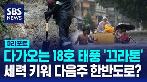 D리포트_끄라톤