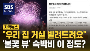 [자막뉴스] "불꽃뷰 1박에 수백만 원"&hellip;서울시 "바가지 요금 단속"