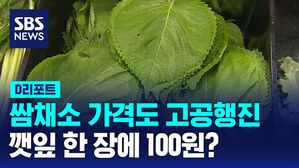 [D리포트] 쌈채소 추가, 부담스러워요&hellip;깻잎 한 장에 100원?