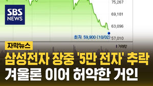 삼성전자 장중 '5만 전자' 추락&hellip;겨울론 이어 허약한 거인